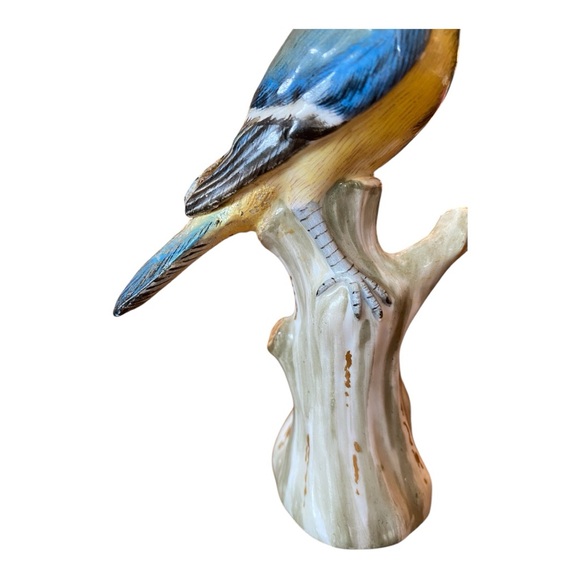 Antique 1700s - 1800s Meissen Eurasian Blue Tit Bird. Rare - Picture 11 of 13
